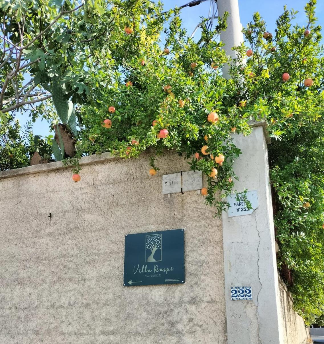 Villa Rospi Бари Экстерьер фото